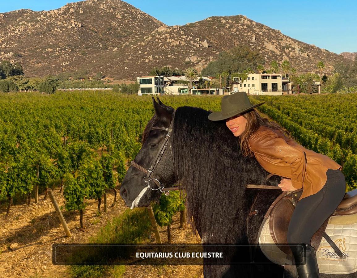Entre Vinedos By Hotel Boutique ואלה דה גוואדלופה מראה חיצוני תמונה