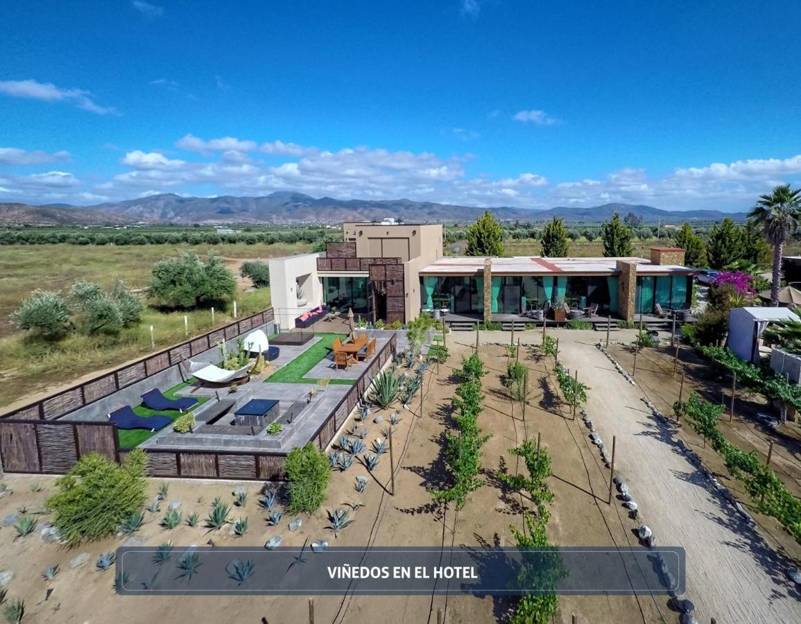 Entre Vinedos By Hotel Boutique ואלה דה גוואדלופה מראה חיצוני תמונה