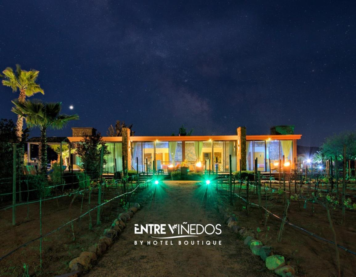 Entre Vinedos By Hotel Boutique ואלה דה גוואדלופה מראה חיצוני תמונה